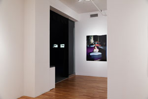 view of the show1